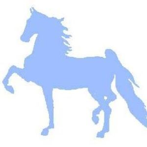 Meet your Posher, Alice